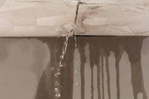 Professional Burst Pipe Cleanup technician working in Charlemont, MA